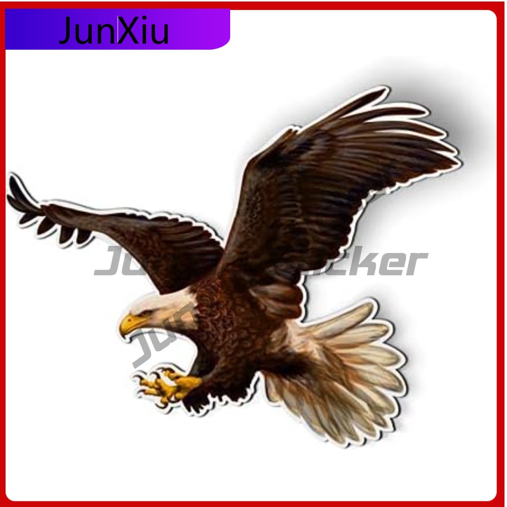Bald Eagle American Eye Catchi - Laptop Accessories You Must Have reseña y precio